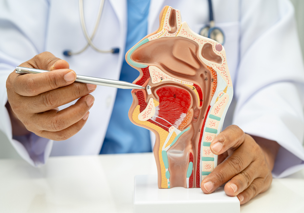 ent hospital chennai