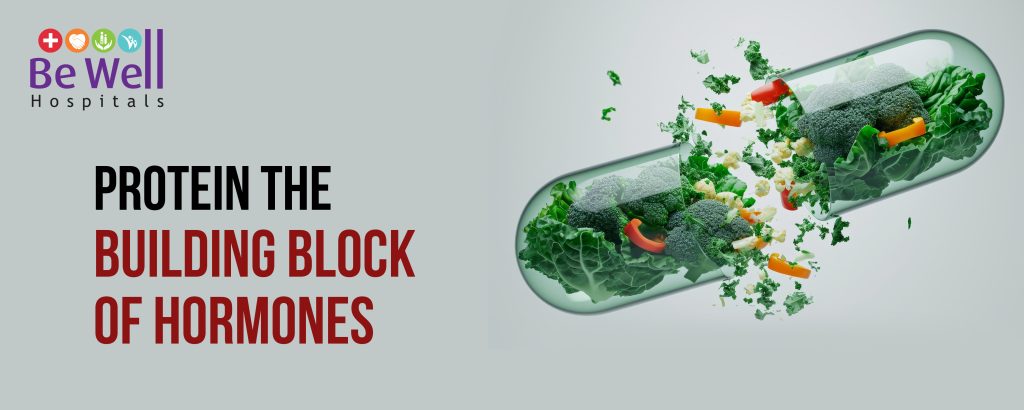 How Diet Affects Hormones and Your Health – Food as a Natural Hormone Balancer Proteins