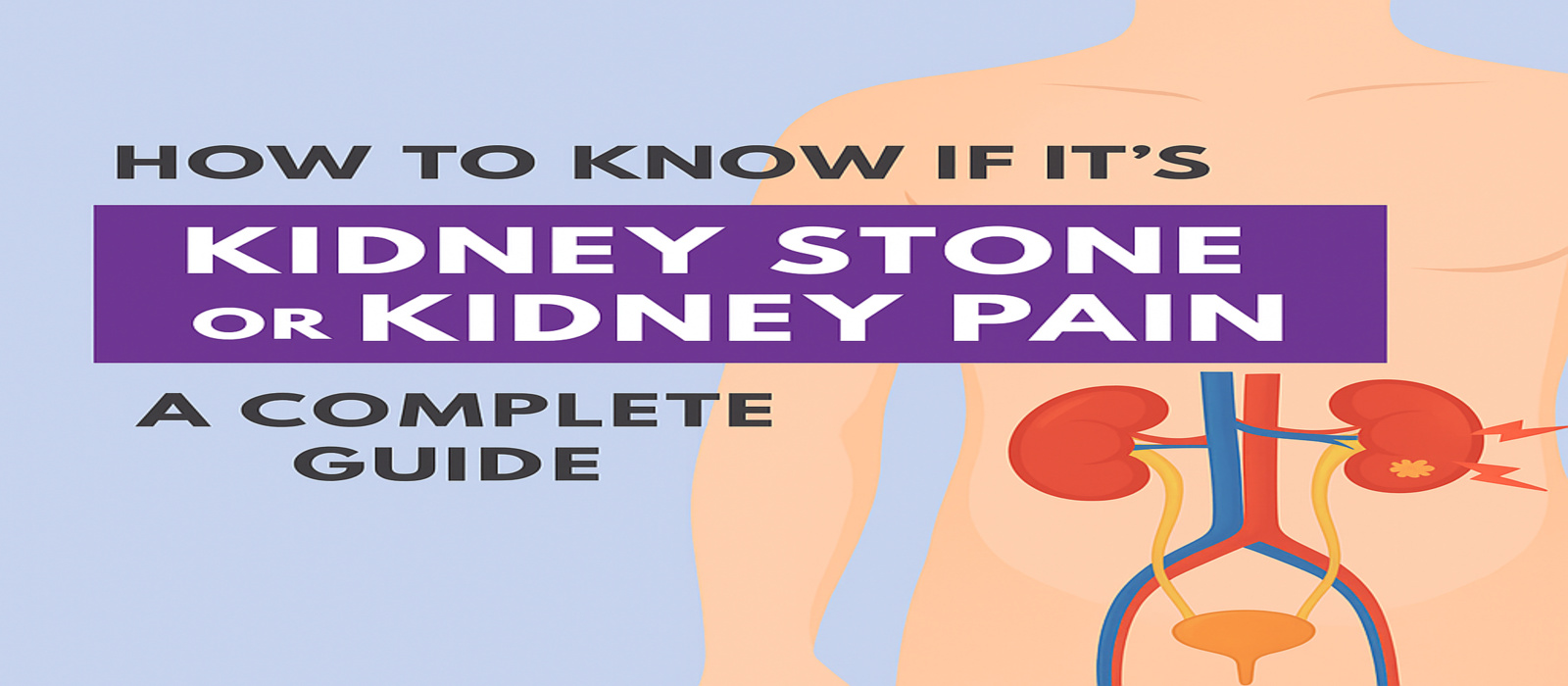 Kidney Care - Kidney Stones - Kidney Pain