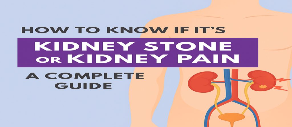 How to Know If It’s Kidney Stone or Kidney Pain – A Complete Guide Kidney Care Hospital