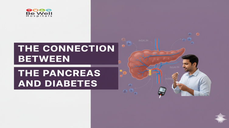 pancreas - diabetes - Blood Sugar Balance - Type 1 Diabetes - Type 2 Diabetes